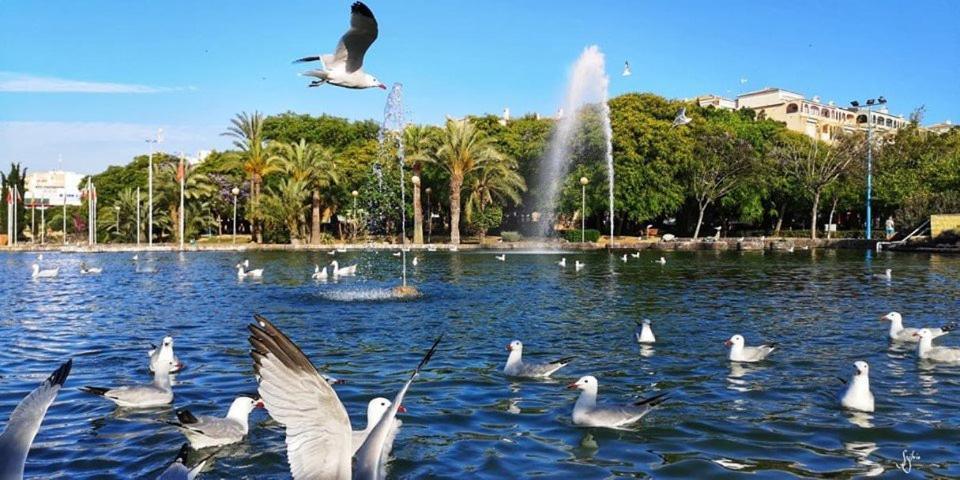 Апартаменты Torrevieja Experience Atico 1ª Linea Экстерьер фото